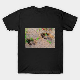 paw prints T-Shirt